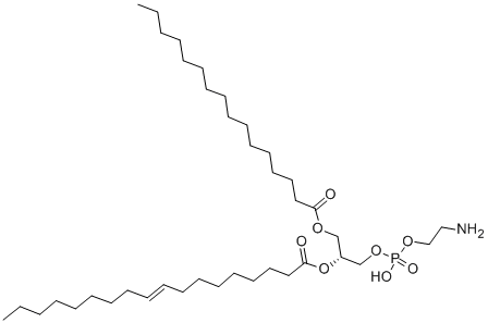 CAS 登录号：10015-88-0， 1-棕榈酰-2-油酰基磷脂酰乙醇胺