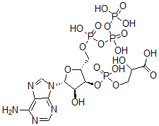 CAS 登录号：101968-93-8， Oligophosphoglycerol-Atp