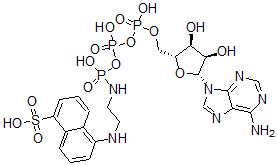CAS#: 102415-55-4, 5-[2-[[[[[(2R,3S,4R,5R)-5-(6-Aminopurin-9-Yl)-3,4-Dihydroxyoxolan-2-Yl]Methoxy-Hydroxyphosphoryl]Oxy-Hydroxyphosphoryl]Oxy-Hydroxyphosphoryl]Amino]Ethylamino]Naphthalene-1-Sulfonic Acid