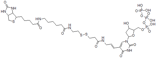 CAS#: 104142-46-3, [5-[2,4-Dioxo-5-[(E)-3-[3-[2-[6-[5-(2-Oxo-1,3,3A,4,6,6alpha-Hexahydrothieno[3,4-d]Imidazol-6-Yl)Pentanoylamino]Hexanoylamino]Ethyldisulfanyl]Propanoylamino]Prop-1-Enyl]Pyrimidin-1-Yl]-3-Hydroxyoxolan-2-Yl]Methyl (Hydroxy-Phosphonooxyphosphoryl) Hydrogen Phosphate