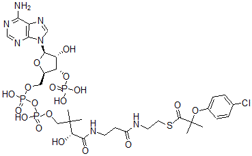 CAS 登录号：104732-21-0， 氯贝酸-辅酶A