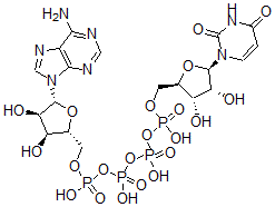 CAS 登录号:10527-48-7, 腺苷(5')四磷酸酯尿苷