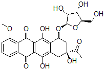 CAS 登录号：105444-04-0， (7S,9S)-9-乙酰基-7-[(2R,3R,4S,5R)-3,4-二羟基-5-(羟基甲基)四氢呋喃-2-基]氧基-6,9,11-三羟基-4-甲氧基-8,10-二氢-7H-并四苯-5,12-二酮