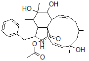 CAS#: 108050-27-7, (6S,7S,13E,16S,18R,19E,21R)-21-(acetyloxy)-6,7,18-trihydroxy-16,18-dimethyl-10-phenyl-(11)Cytochalasa-13,19-dien-1-one
