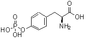 CAS 登录号：108321-25-1， O-膦酰酪氨酸