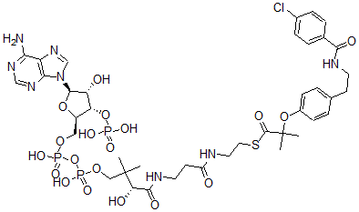 CAS#: 109881-30-3, Bezafibroyl-coenzyme A