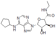 CAS 登录号：110299-05-3， (2S,3S,4R,5R)-5-[6-(环戊基氨基)嘌呤-9-基]-N-乙基-3,4-二羟基四氢呋喃-2-甲酰胺