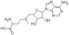 CAS 登录号：111093-45-9， 9-{5-[(3-氨基-3-羧基丙基)(甲基)-lambda<sup>4</sup>-硫基]-5-脱氧呋喃戊糖基}-9H-嘌呤-6-胺