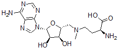 CAS 登录号：111770-79-7， N(4)-腺苷-N(4)-甲基-2,4-二氨基丁酸