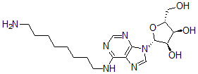 CAS 登录号：111863-56-0， (2R,3R,4S,5R)-2-[6-(8-氨基辛基氨基)嘌呤-9-基]-5-(羟基甲基)四氢呋喃-3,4-二醇