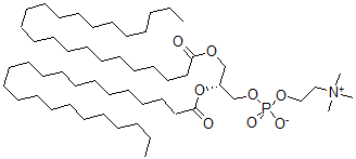 CAS 登录号：112241-60-8， [(2R)-2,3-二(二十三烷酰基氧基)丙基]2-三甲基铵乙基磷酸酯盐