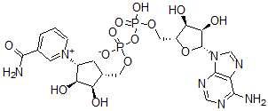 CAS 登录号：112345-60-5， Carbanicotinamide adenine dinucleotide