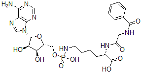 CAS#: 113527-46-1, (2S)-6-[[[(2R,3S,4R,5R)-5-(6-Aminopurin-9-Yl)-3,4-Dihydroxyoxolan-2-Yl]Methoxy-Hydroxyphosphoryl]Amino]-2-[[2-(Benzoylamino)Acetyl]Amino]Hexanoic Acid