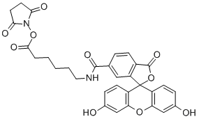 CAS 登录号：114616-31-8， N-[6-[(2,5-二氧代-1-吡咯烷基)氧基]-6-氧代己基]-3',6'-二羟基-3-氧代-螺[异苯并呋喃-1(3H),9'-[9H]氧杂蒽]-alphaR-甲酰胺