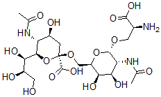 CAS 登录号：114661-01-7， (2R,4S,5R,6R)-5-乙酰氨基-2-[[(2R,3R,4R,5R,6S)-5-乙酰氨基-6-[(2S)-2-氨基-3-羟基-3-氧代丙氧基]-3,4-二羟基四氢吡喃-2-基]甲氧基]-4-羟基-6-[(1R,2R)-1,2,3-三羟基丙基]四氢吡喃-2-羧酸