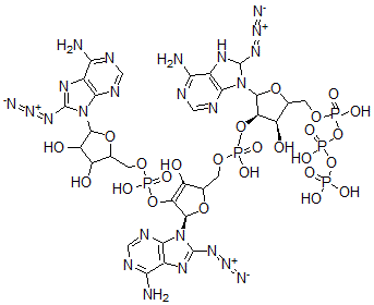 CAS 登录号：117146-01-7， 5'-O-三磷酰-8-叠氮基腺苷酰-(2'-5')-8-叠氮基腺苷酰-(2'-5')-8-叠氮基腺苷