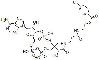 CAS#: 117380-98-0, 4-Chlorobenzoyl Coenzyme A