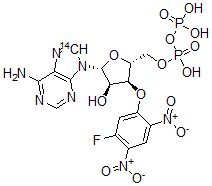 CAS 登录号:117414-72-9, 3'-O-(5-氟-2,4-二硝基苯基)二磷酸腺苷醚