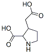 CAS 登录号：117856-26-5， 2-羧基-3-吡咯烷乙酸