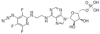 CAS 登录号：119304-29-9， N(6)-(N((4-叠氮基-3,5,6-三氟)吡啶-2-基)-2-氨基乙基)腺苷5'-单磷酸酯