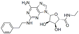 CAS 登录号：120225-53-8， (2S,3S,4R,5R)-5-[6-氨基-2-(2-苯基乙基氨基)嘌呤-9-基]-N-乙基-3,4-二羟基四氢呋喃-2-甲酰胺