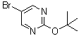 CAS 登录号：121487-13-6， 5-溴-2-[(2-甲基-2-丙基)氧基]嘧啶