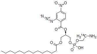 CAS 登录号：121888-03-7， 2-(2-叠氮基-4-硝基苯甲酰)-1-肉豆蔻酰基甘油-3-磷酰乙醇胺
