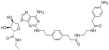 CAS 登录号：124190-27-8， (2S,3S,4R,5R)-5-[6-氨基-2-[2-[4-[3-[2-[[2-(4-氨基苯基)乙酰基]氨基]乙基氨基]-3-氧代丙基]苯基]乙基氨基]嘌呤-9-基]-N-乙基-3,4-二羟基四氢呋喃-2-甲酰胺