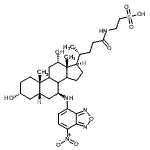 CAS 登录号：124882-57-1， 2-({(3alpha,5beta,7beta,8Xi,9Xi,12alpha,14Xi)-3,12-二羟基-7-[(7-硝基-2,1,3-苯并恶二唑-4-基)氨基]-24-氧代胆烷-24-基}氨基)乙烷磺酸