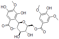 CAS#: 126485-47-0, [(2S,3R,4R,4aS,10bR)-3,4,8,10-Tetrahydroxy-9-Methoxy-6-Oxo-3,4,4a,10b-Tetrahydro-2H-Pyrano[5,6-c]Isochromen-2-Yl]Methyl 4-Hydroxy-3,5-Dimethoxybenzoate