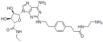 CAS 登录号：126828-50-0， (2S,3S,4R,5R)-5-[6-氨基-2-[2-[4-[3-(2-氨基乙基氨基)-3-氧代丙基]苯基]乙基氨基]嘌呤-9-基]-N-乙基-3,4-二羟基四氢呋喃-2-甲酰胺