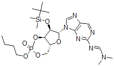 CAS 登录号：126922-67-6， 正丁基 2'-二甲基-叔丁基硅烷基-N(2)-(N,N-二甲基氨基)亚甲基-鸟苷3,',5'-环磷酸酯