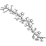 CAS 登录号：127476-26-0， 甘氨酰-L-alpha-谷氨酰-4-羧基-L-alpha-谷氨酰-4-羧基-L-alpha-谷氨酰-L-酪氨酰-L-谷氨酰胺酰-L-赖氨酰-L-蛋氨酰-L-亮氨酰-4-羧基-L-alpha-谷氨酰-L-天冬氨酰胺酰-L-亮氨酰-L-精氨酰-4-羧基-L-alpha-谷氨酰-L-丙氨酰-L-alpha-谷氨酰-L-缬氨酰-L-赖氨酰-L-赖氨酰-L-天冬氨酰胺酰-L-丙氨酰胺