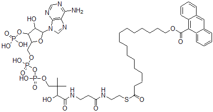 CAS 登录号：129385-08-6， 16-(9-萘甲酰氧基)棕榈酰-辅酶A
