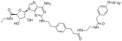 CAS 登录号：129932-69-0， (2S,3S,4R,5R)-5-[6-氨基-2-[2-[4-[3-[2-[[2-(4-叠氮基苯基)乙酰基]氨基]乙基氨基]-3-氧代丙基]苯基]乙基氨基]嘌呤-9-基]-N-乙基-3,4-二羟基四氢呋喃-2-甲酰胺