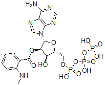 CAS 登录号：130799-34-7， [(2R,3R,4R,5R)-2-(6-氨基嘌呤-9-基)-4-羟基-5-[[羟基-(羟基-膦酰氧基磷酰)氧基磷酰]氧基甲基]四氢呋喃-3-基]2-甲基氨基苯甲酸酯