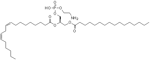 CAS#: 13206-00-3, 2-Linoleoyl-1-palmitoyl-sn-glycero-3-phosphoethanolamine