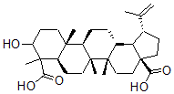 CAS 登录号：132339-62-9， 3-羟基羽扇-20(29)-烯-23,28-二酸