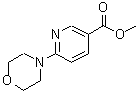 CAS 登录号：132546-81-7， 6-(4-吗啉基)烟酸甲酯