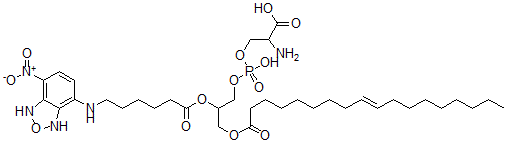 CAS 登录号：132880-14-9， 2-氨基-3-[羟基-[2-[6-[(4-硝基-1,3-二氢-2,1,3-苯并恶二唑-7-基)氨基]己酰氧基]-3-[(E)-十八碳-9-烯酰基]氧基丙氧基]磷酰]氧基丙酸