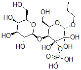 CAS#: 133268-59-4, Capsular Polysaccharide Type 7, Actinobacillus Pleuropneumoniae