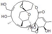 CAS 登录号：134053-89-7， 13,29-二羟基美倍霉素A4