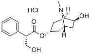 CAS 登录号：134355-54-7， 外消旋山莨菪碱