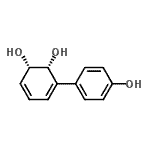 CAS 登录号：134553-41-6， (1S,2R)-3-(4-羟基苯基)-3,5-环己二烯-1,2-二醇