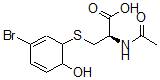 CAS 登录号：134958-24-0， (2R)-2-乙酰氨基-3-[(3-溴-6-羟基-1-环己-2,4-二烯基)硫基]丙酸