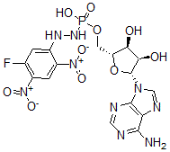 CAS 登录号：135101-78-9， [(2R,3S,4R,5R)-5-(6-氨基嘌呤-9-基)-3,4-二羟基四氢呋喃-2-基]甲氧基-N-[(5-氟-2,4-二硝基苯基)氨基]氨基磷酸