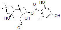 CAS 登录号：135247-96-0， 密环菌丑素