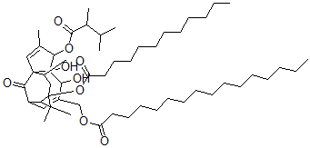 CAS 登录号：135883-24-8， 13-羟基巨大戟醇-3-(2,3-二甲基丁酸酯)-13-月桂酸酯-20-十六烷酸酯