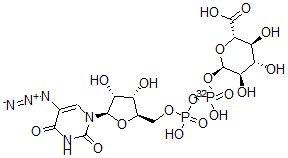 CAS 登录号：137528-00-8， (2S,3S,4S,5R,6R)-6-[[[(2R,3S,4R,5R)-5-(5-叠氮基-2,4-二氧代嘧啶-1-基)-3,4-二羟基四氢呋喃-2-基]甲氧基-羟基磷酰]氧基-羟基磷酰]氧基-3,4,5-三羟基四氢吡喃-2-羧酸
