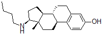 CAS#: 137539-90-3, (8R,9S,13S,14S,17S)-17-Butylamino-13-Methyl-6,7,8,9,11,12,14,15,16,17-Decahydrocyclopenta[a]Phenanthren-3-Ol
